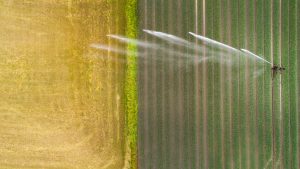 agricultural water treatment in fl